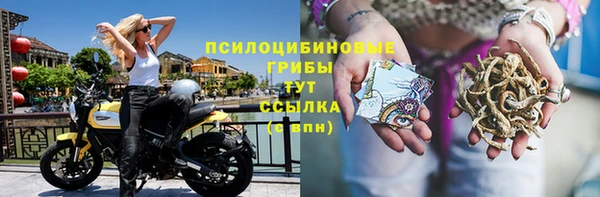 дурь Аксай