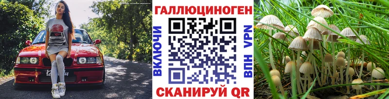Галлюциногенные грибы Magic Shrooms  что такое наркотик  Клин 