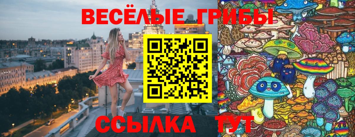 Псилоцибиновые грибы Psilocybine cubensis Клин