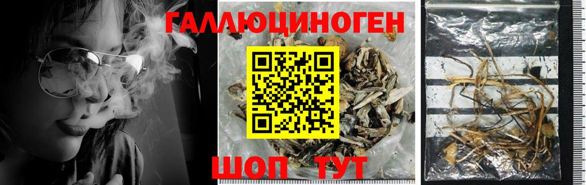 Галлюциногенные грибы мухоморы  Вход с VPN  Клин  Галлюциногенные грибы мицелий 